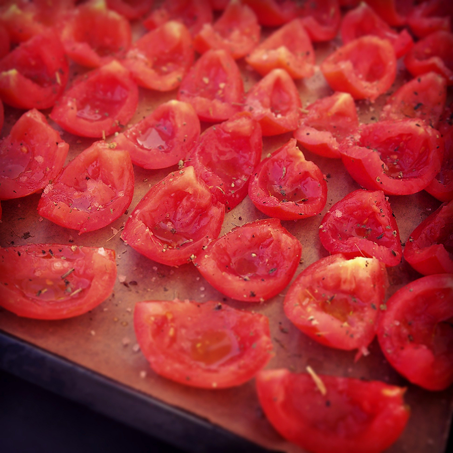suseni paradajz3